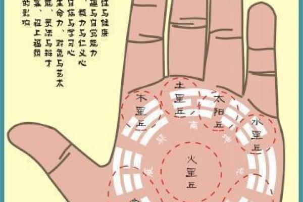 手相断纹对人生运势的影响解析