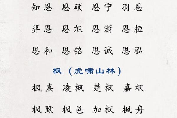 公司随机起名生成器：创新名字轻松搞定