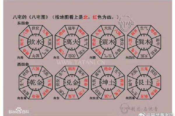 什么是震命与东四命的深度解析