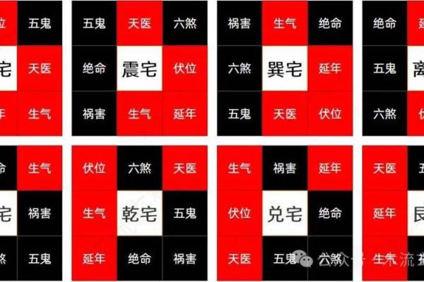 什么是震命与东四命的深度解析