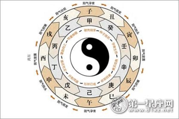 天干冠带在命理中的深刻含义与应用解析