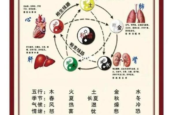 五行命理分析与运势解析