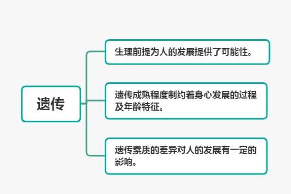 天干财冲日的影响与解析