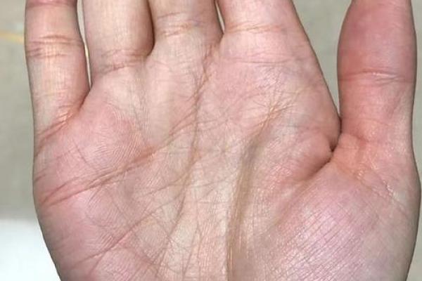 手相的准确性到底有多高？科学与传统的碰撞
