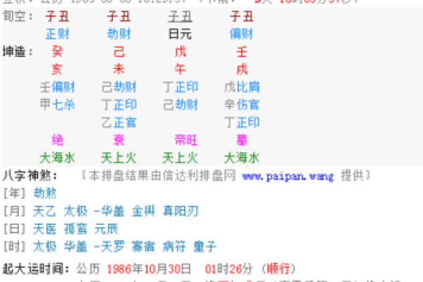 出生的人五行属什么命解析
