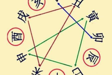 生肖排盘解析：如何根据生辰八字揭示个人命运轨迹