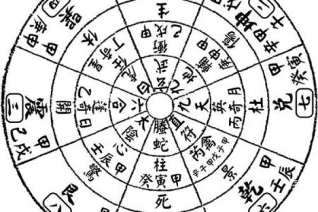 流年运势透视：紫薇排盘如何揭示未来的运程