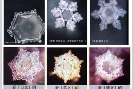 五行水的独特意义与生活中的应用解析