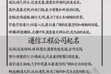 公司起名技巧与创意方法解析