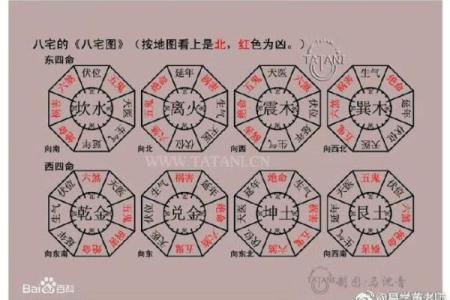 什么是震命与东四命的深度解析