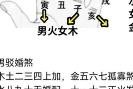 命里金多的命格特征及其人生走向