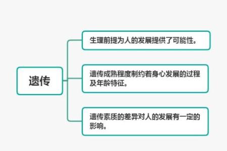 天干财冲日的影响与解析