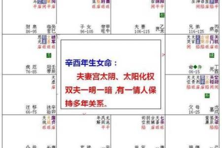 掌握紫薇排盘技巧，洞察人生的关键转折
