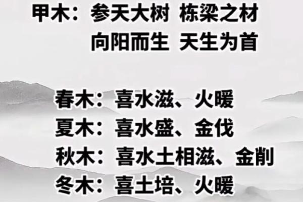 明天的干支日解析：如何通过八字预测运势