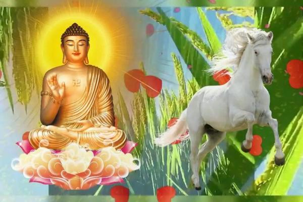 属马与生肖冲煞对家庭的影响
