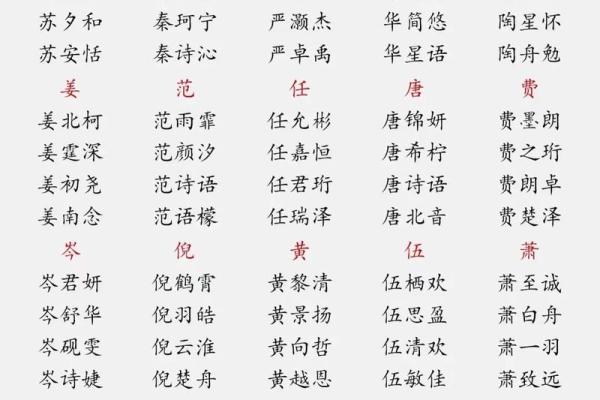 贾姓男宝宝起名指南：为宝宝挑选寓意深远的名字