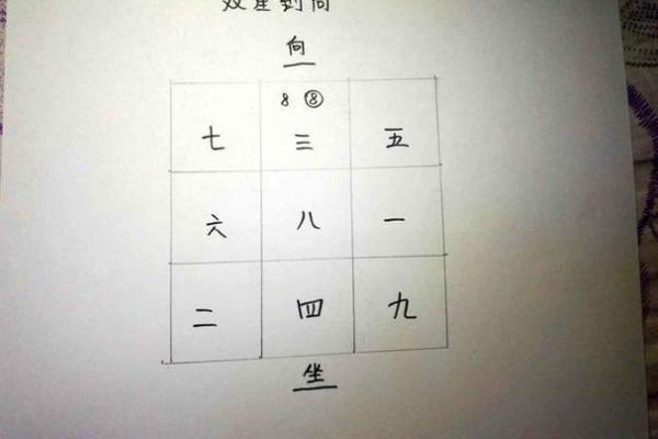 选择合适的九星排盘软件，揭示你的未来运势