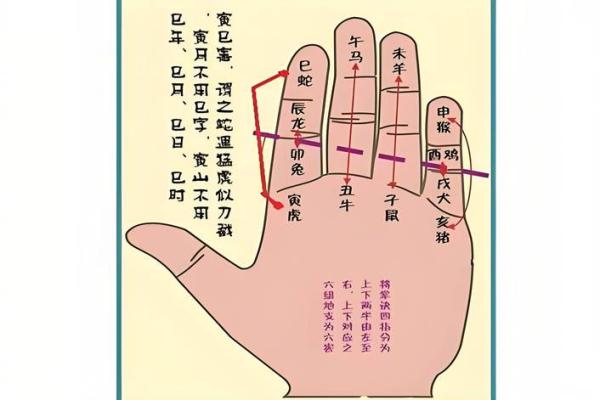 壬天干十神解析与命理应用技巧
