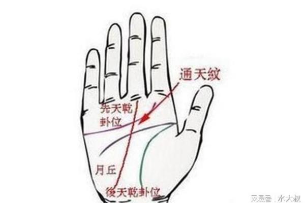 如何通过机遇纹手相预测事业与财富的高峰期