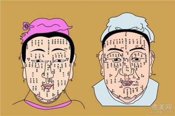 出生的命运特点与人生走向分析