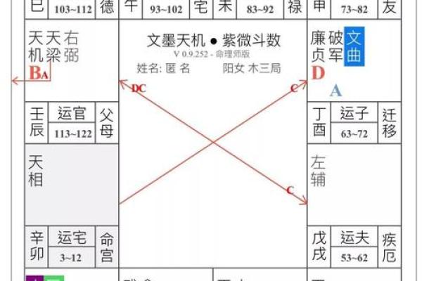 桃花坐命的含义与影响解析