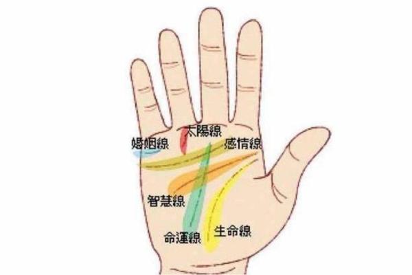 如何通过拍照看手相软件解析你的命运线