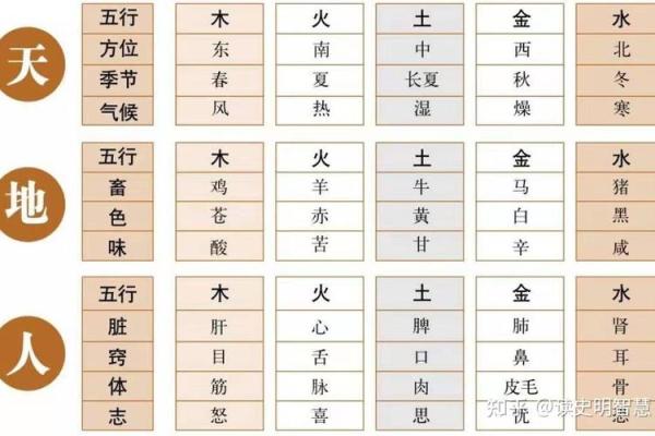 子五行与命理中的深层次关系探析
