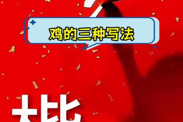 属鸡的人命运分析与性格特点