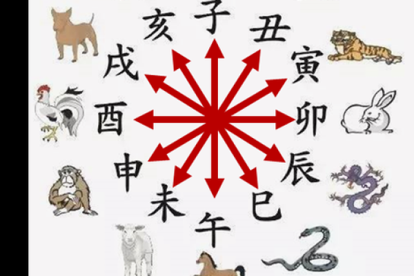 如何通过命理调整来缓解属相相冲