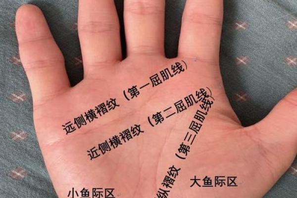 女子断掌手相的含义与生活影响全面解析
