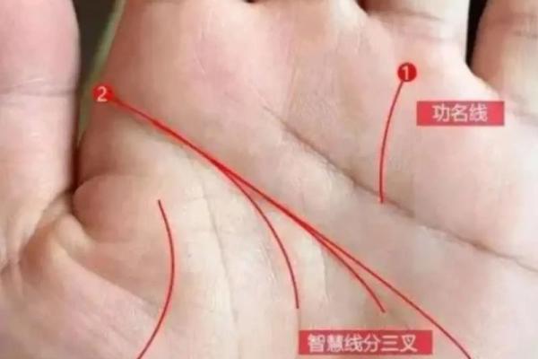 女性看手相时应关注的手部细节