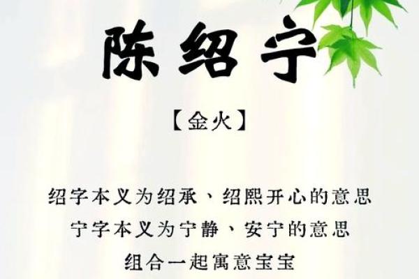 精选陈姓男孩名字，既有文化底蕴又富有未来感
