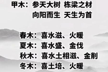 明天的干支日解析：如何通过八字预测运势