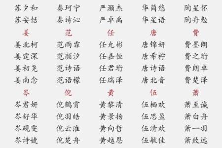 贾姓男宝宝起名指南：为宝宝挑选寓意深远的名字