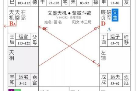 桃花坐命的含义与影响解析