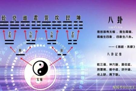 五行克制关系在风水中的应用与影响解析