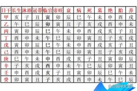 子五行与命理中的深层次关系探析