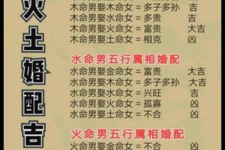 葵水命的五行属性及其影响力