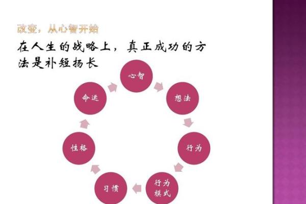 梅花卦排盘：解读人生与命运的密码