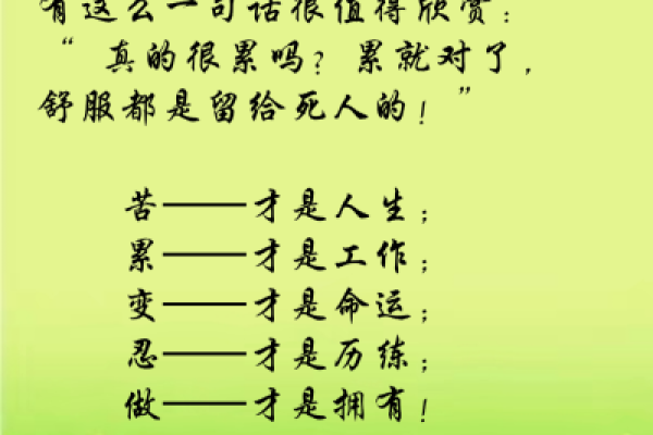 梅花卦排盘：解读人生与命运的密码