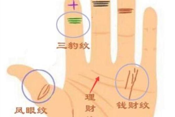 女人手相解析：看哪只手最能揭示你的命运