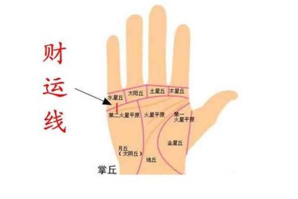 女人手相解析：看哪只手最能揭示你的命运