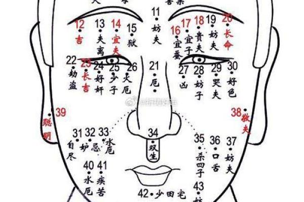 面部痣的相学含义：从五官看人生运程