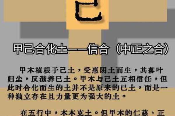 天干五合时间对命运的深远影响解析