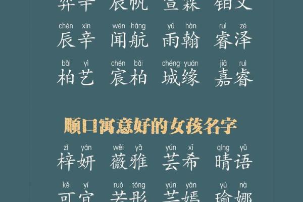 鸡年男宝宝如何起名 挑选寓意深远的名字