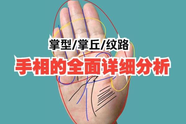 手相分析：通过掌纹识别你的性格特征与潜在机会