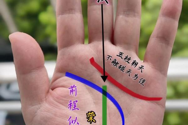 男性手相解析：揭示你性格与命运的秘密