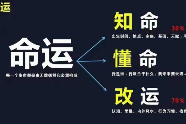 打开命盘揭秘人生轨迹与命运走向