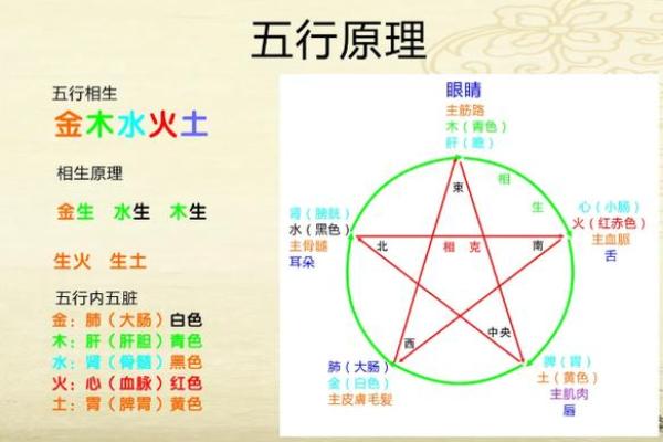 士字的五行属性解析及其命理影响