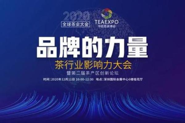 创新与发展：如何为信息技术有限公司挑选一个独特且有影响力的名字